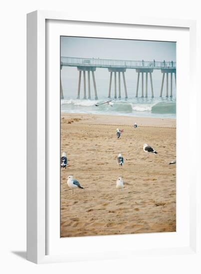 Seagull Coast-Bill Carson Photography-Framed Art Print