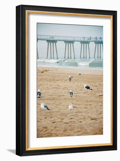 Seagull Coast-Bill Carson Photography-Framed Art Print