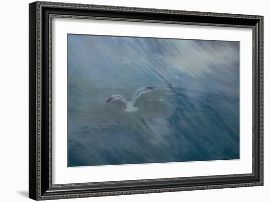 Seagull Flying Away, 2012 (Oil on Canvas)-Antonia Myatt-Framed Giclee Print