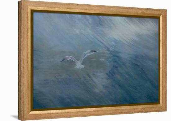 Seagull Flying Away, 2012 (Oil on Canvas)-Antonia Myatt-Framed Premier Image Canvas