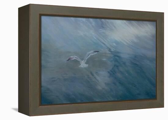 Seagull Flying Away, 2012 (Oil on Canvas)-Antonia Myatt-Framed Premier Image Canvas