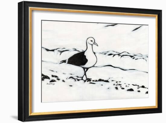 Seagull from Washington Park, C.2017 (Charcoal and Gesso on Paper)-Janel Bragg-Framed Giclee Print