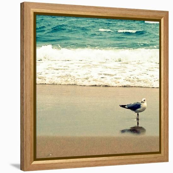 Seagull on Beach-Lisa Hill Saghini-Framed Premier Image Canvas