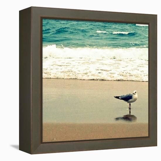 Seagull on Beach-Lisa Hill Saghini-Framed Premier Image Canvas