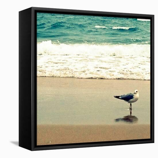 Seagull on Beach-Lisa Hill Saghini-Framed Premier Image Canvas