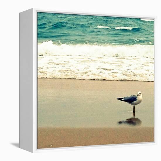 Seagull on Beach-Lisa Hill Saghini-Framed Premier Image Canvas