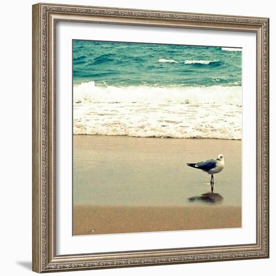 Seagull on Beach-Lisa Hill Saghini-Framed Photographic Print