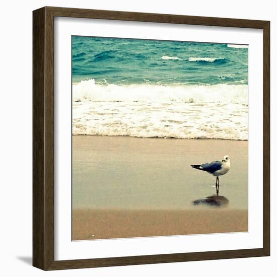 Seagull on Beach-Lisa Hill Saghini-Framed Photographic Print