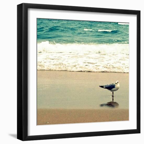 Seagull on Beach-Lisa Hill Saghini-Framed Photographic Print