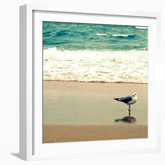 Seagull on Beach-Lisa Hill Saghini-Framed Photographic Print