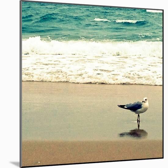 Seagull on Beach-Lisa Hill Saghini-Mounted Photographic Print