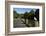 Seagull on Boardwalk by Mahurangi River, Warkworth, Auckland Region, North Island, New Zealand-David Wall-Framed Photographic Print