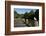 Seagull on Boardwalk by Mahurangi River, Warkworth, Auckland Region, North Island, New Zealand-David Wall-Framed Photographic Print