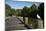 Seagull on Boardwalk by Mahurangi River, Warkworth, Auckland Region, North Island, New Zealand-David Wall-Mounted Photographic Print