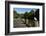 Seagull on Boardwalk by Mahurangi River, Warkworth, Auckland Region, North Island, New Zealand-David Wall-Framed Photographic Print