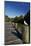 Seagull on Boardwalk by Mahurangi River, Warkworth, Auckland Region, North Island, New Zealand-David Wall-Mounted Photographic Print