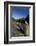 Seagull on Boardwalk by Mahurangi River, Warkworth, Auckland Region, North Island, New Zealand-David Wall-Framed Photographic Print