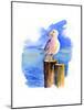 Seagull on Dock, 2014-John Keeling-Mounted Giclee Print