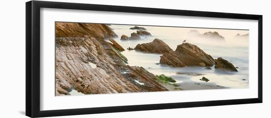 Seagull Perching on the Beach, Gaviota, Santa Barbara County, California, Usa-null-Framed Photographic Print