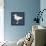 Seagull Silhouette and Lettering-TashaNatasha-Framed Stretched Canvas displayed on a wall