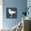 Seagull Silhouette and Lettering-TashaNatasha-Premium Giclee Print displayed on a wall