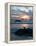 Seagull Silhouette on Coastline, Bandon Beach, Oregon, USA-Nancy Rotenberg-Framed Premier Image Canvas