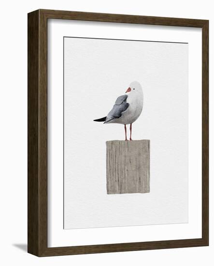 Seagull-Leah Straatsma-Framed Art Print