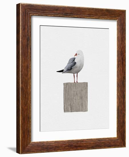 Seagull-Leah Straatsma-Framed Art Print