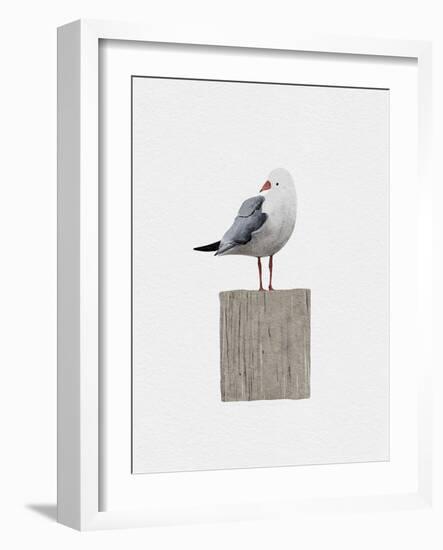 Seagull-Leah Straatsma-Framed Art Print