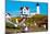 Seagulls at Nubble Lighthouse, Cape Neddick, York, Maine, USA-null-Mounted Photographic Print