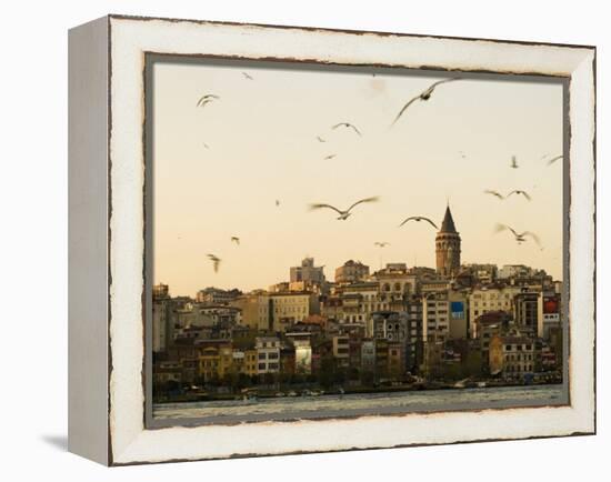 Seagulls Flock Above the Golden Horn, Istanbul, with the Galata Tower in the Background-Julian Love-Framed Premier Image Canvas