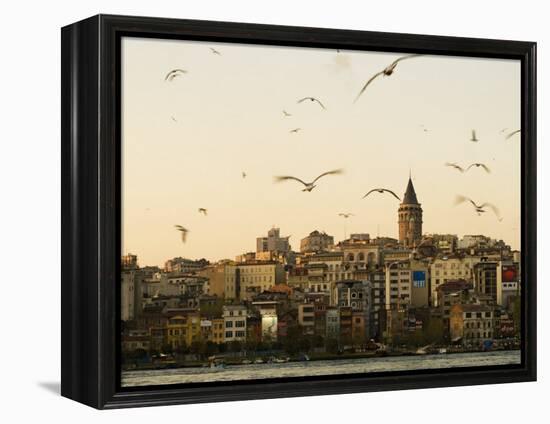 Seagulls Flock Above the Golden Horn, Istanbul, with the Galata Tower in the Background-Julian Love-Framed Premier Image Canvas
