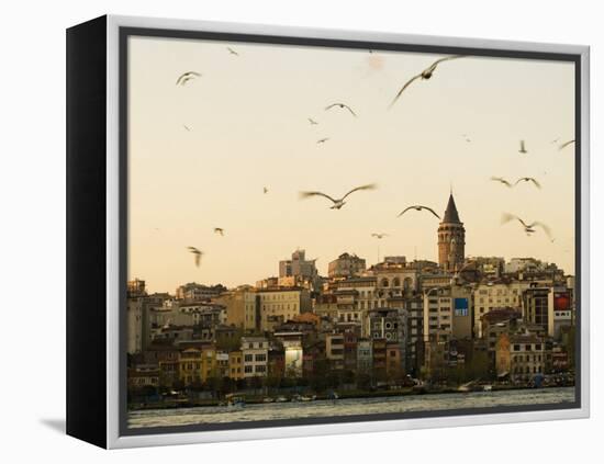 Seagulls Flock Above the Golden Horn, Istanbul, with the Galata Tower in the Background-Julian Love-Framed Premier Image Canvas