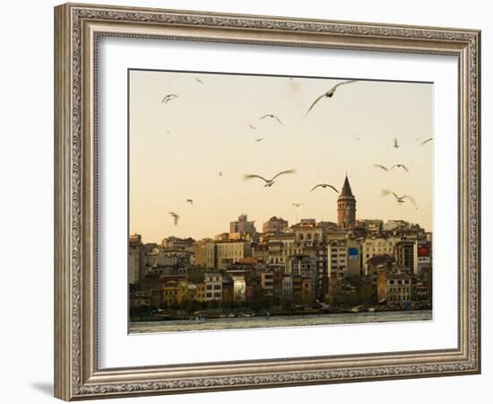 Seagulls Flock Above the Golden Horn, Istanbul, with the Galata Tower in the Background-Julian Love-Framed Photographic Print