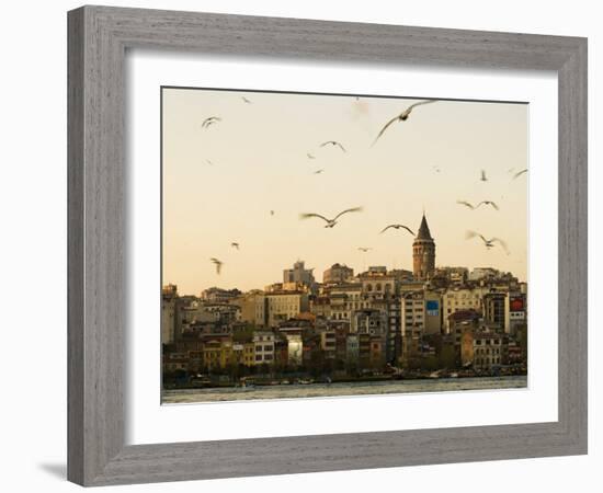 Seagulls Flock Above the Golden Horn, Istanbul, with the Galata Tower in the Background-Julian Love-Framed Photographic Print