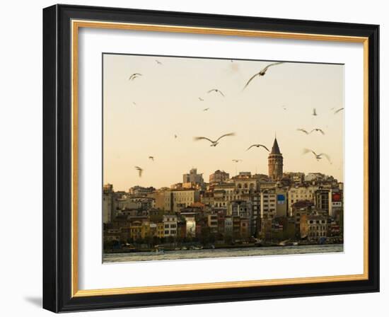 Seagulls Flock Above the Golden Horn, Istanbul, with the Galata Tower in the Background-Julian Love-Framed Photographic Print