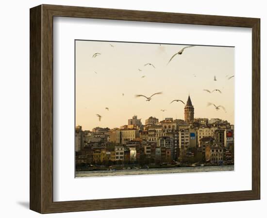 Seagulls Flock Above the Golden Horn, Istanbul, with the Galata Tower in the Background-Julian Love-Framed Photographic Print