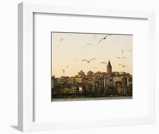 Seagulls Flock Above the Golden Horn, Istanbul, with the Galata Tower in the Background-Julian Love-Framed Photographic Print