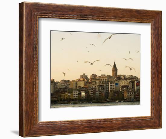 Seagulls Flock Above the Golden Horn, Istanbul, with the Galata Tower in the Background-Julian Love-Framed Photographic Print