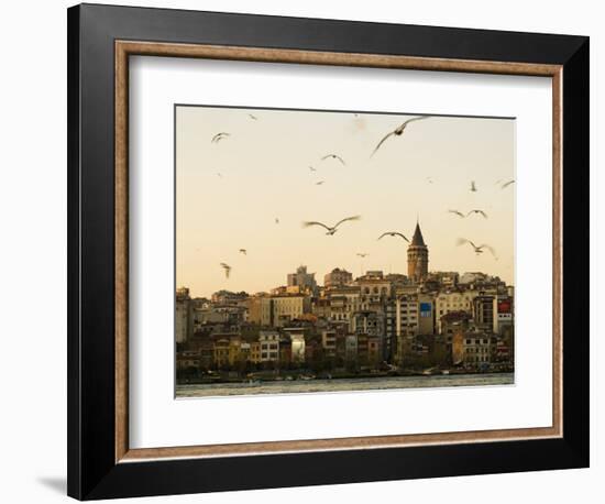 Seagulls Flock Above the Golden Horn, Istanbul, with the Galata Tower in the Background-Julian Love-Framed Photographic Print