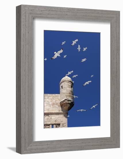 Seagulls Flying Above Turret of the Old Fort-Stuart Black-Framed Photographic Print