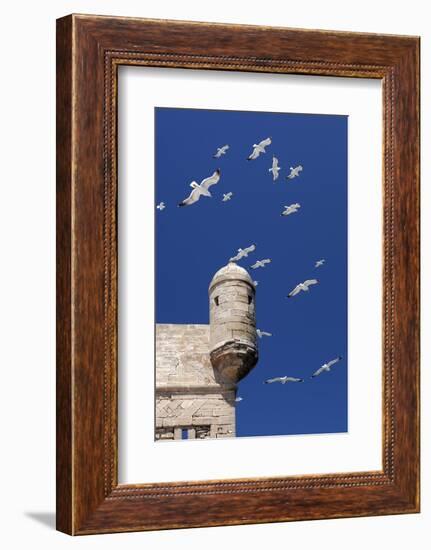 Seagulls Flying Above Turret of the Old Fort-Stuart Black-Framed Photographic Print