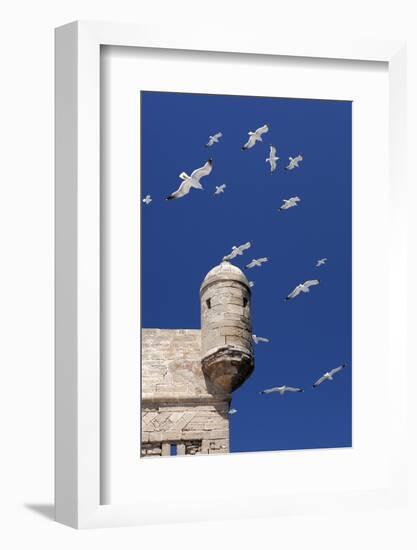 Seagulls Flying Above Turret of the Old Fort-Stuart Black-Framed Photographic Print