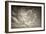 Seagulls in the Air-Tim Kahane-Framed Photographic Print