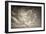 Seagulls in the Air-Tim Kahane-Framed Photographic Print