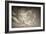 Seagulls in the Air-Tim Kahane-Framed Photographic Print