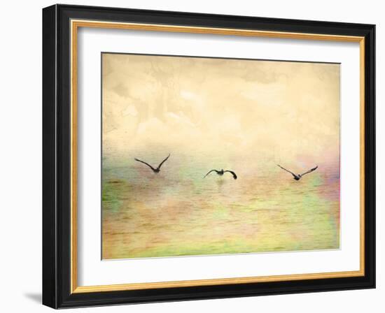 Seagulls in the Sky I-Ynon Mabat-Framed Art Print