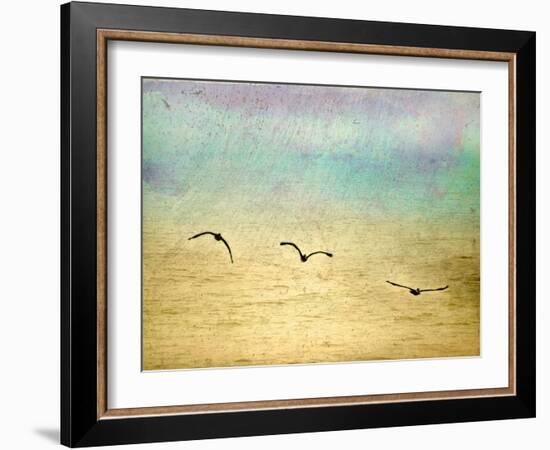 Seagulls in the Sky II-Ynon Mabat-Framed Art Print