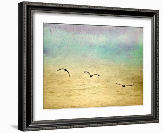 Seagulls in the Sky II-Ynon Mabat-Framed Art Print