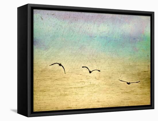 Seagulls in the Sky II-Ynon Mabat-Framed Stretched Canvas